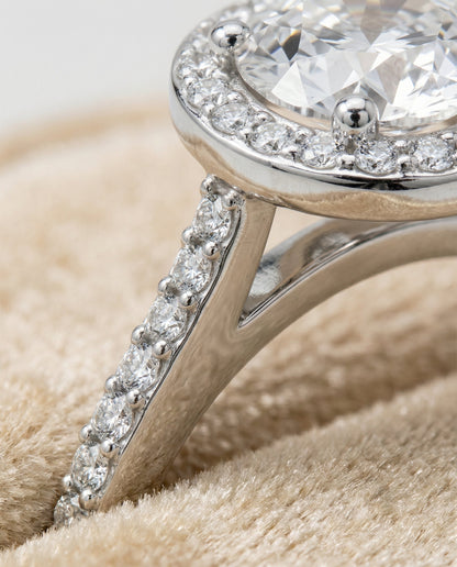 The Taylor Select Classic French Pave Halo Solitaire Engagement Ring with Lab Diamond in 14K White Gold — view 4