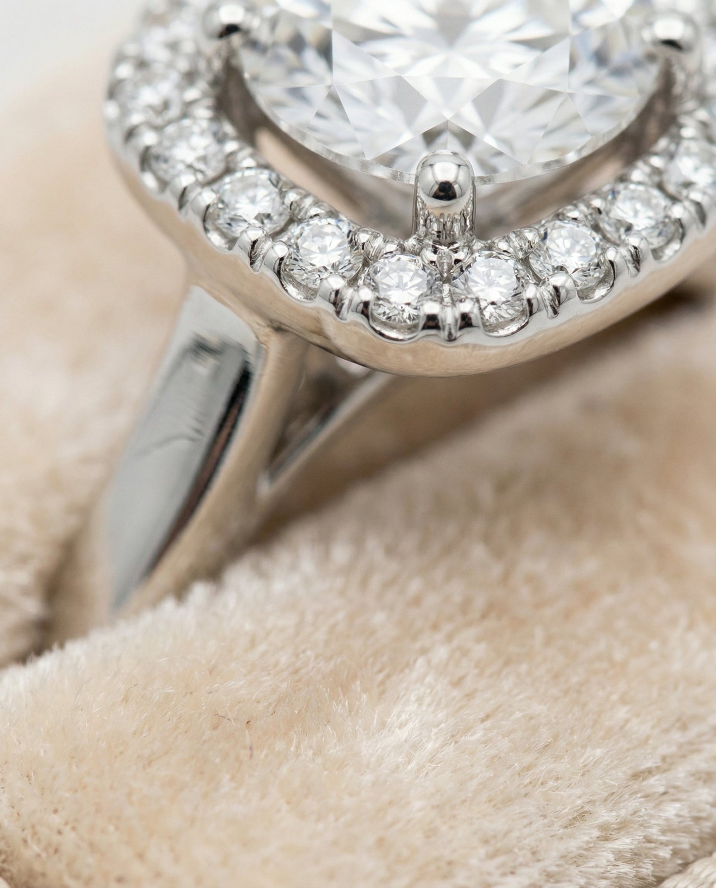 Carnie Select Round engagement ring in Platinum