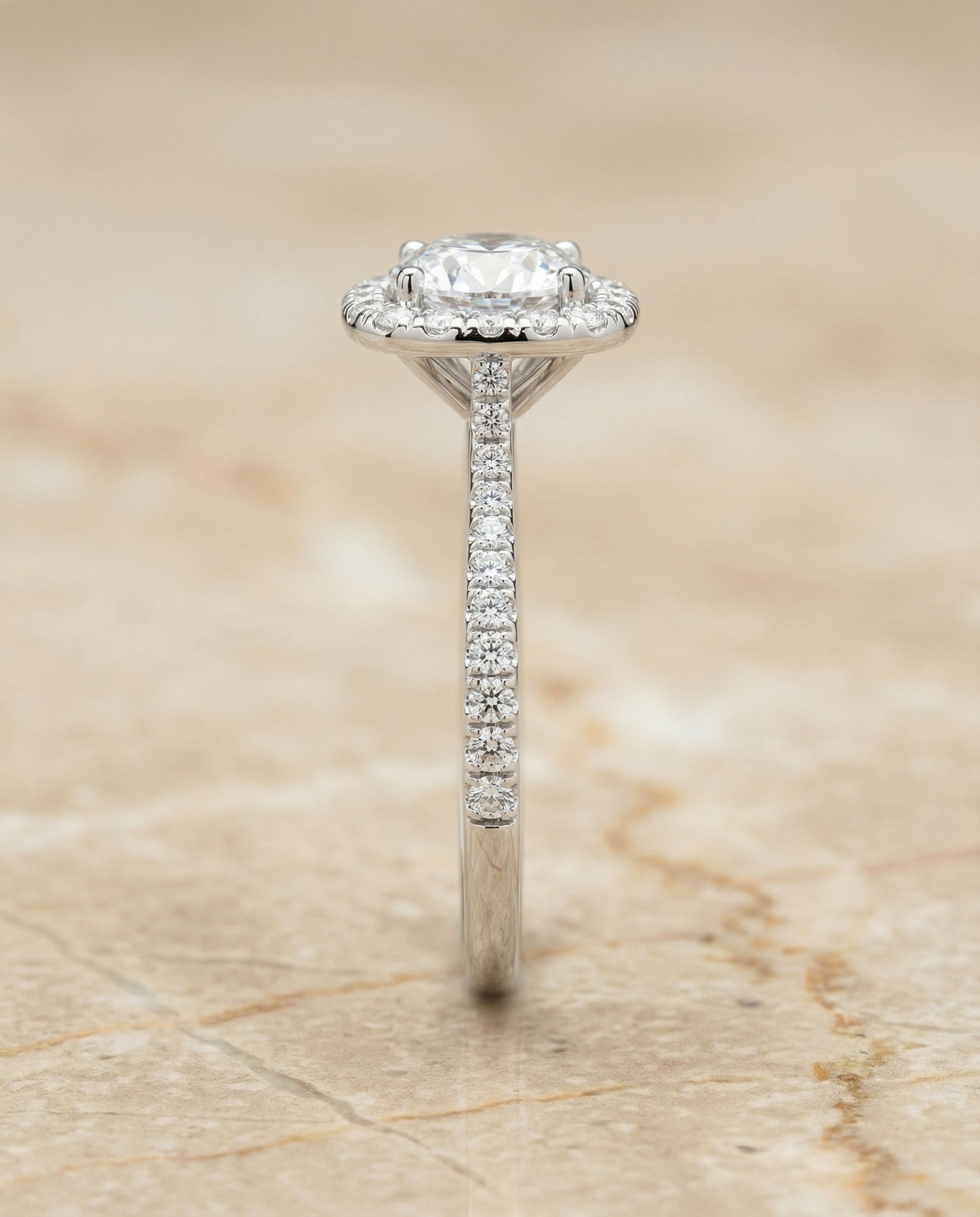 Round Brilliant, Classic Shared Prong Halo Round, in Platinum, pave setting – side profile | RockHer