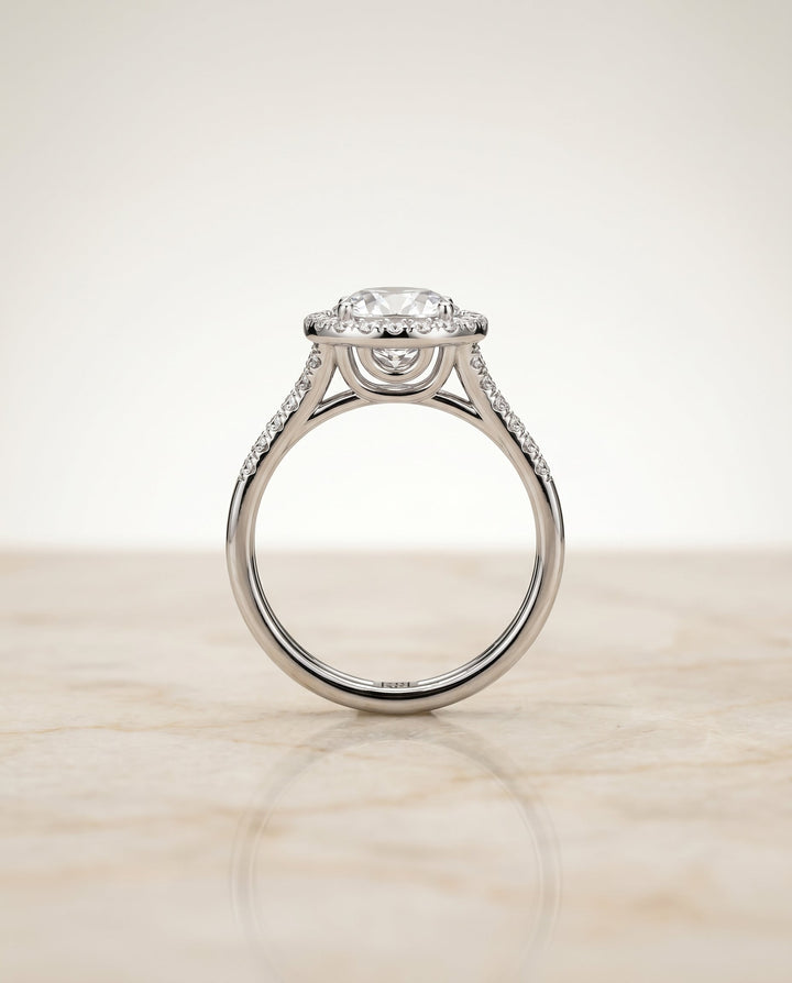 Toni Select Double Row Split Shank Halo in 18K White Gold – view 6