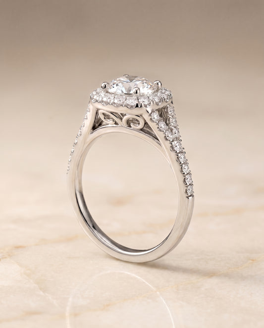 Prong Halo Split Shank Cushion in Platinum