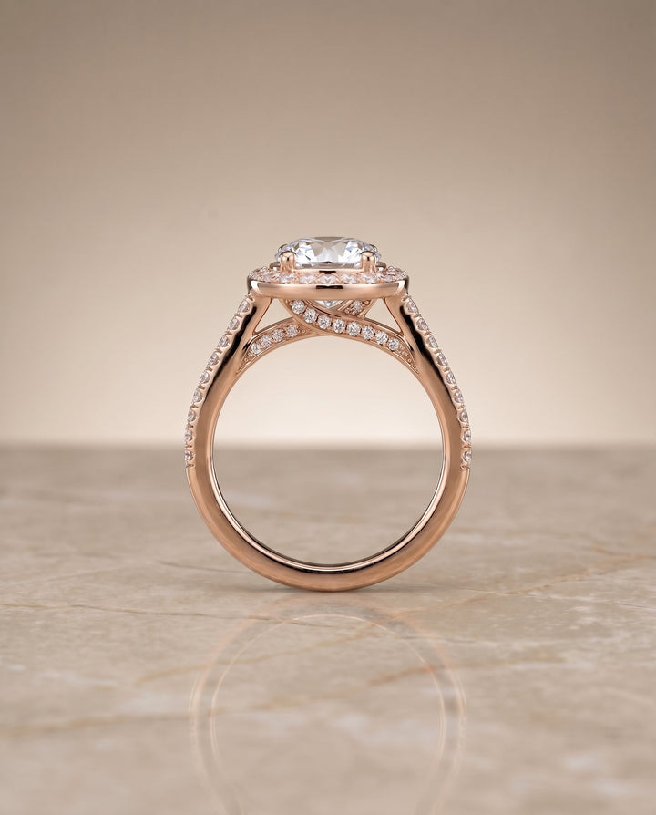 Lucia Select Secret Gallery French Pave Halo in 14K White Gold – view 6