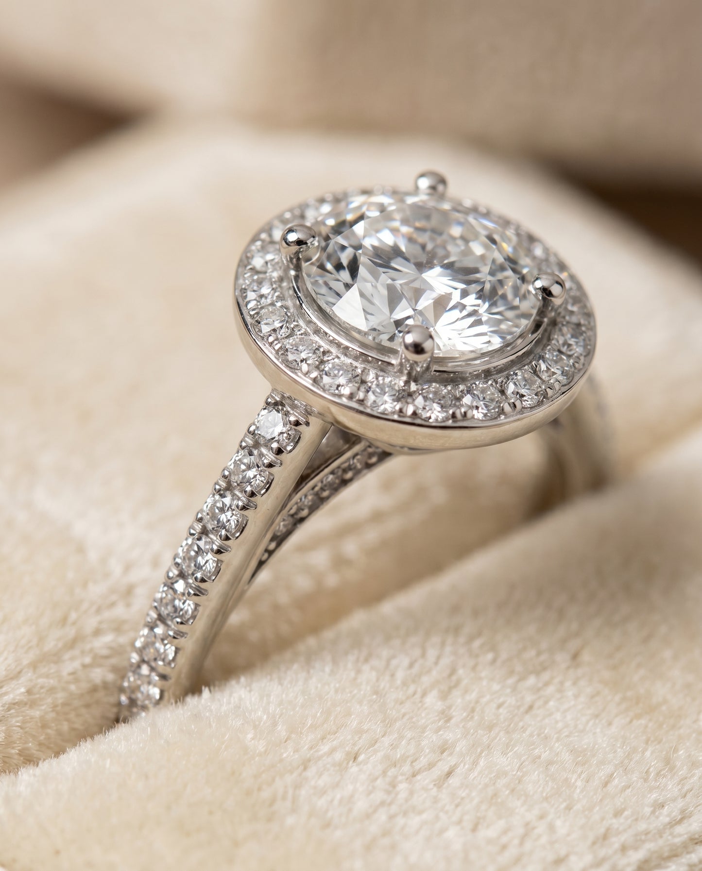 Round Brilliant, Secret Gallery French Pavé Halo, in 18K White Gold – detail view | RockHer