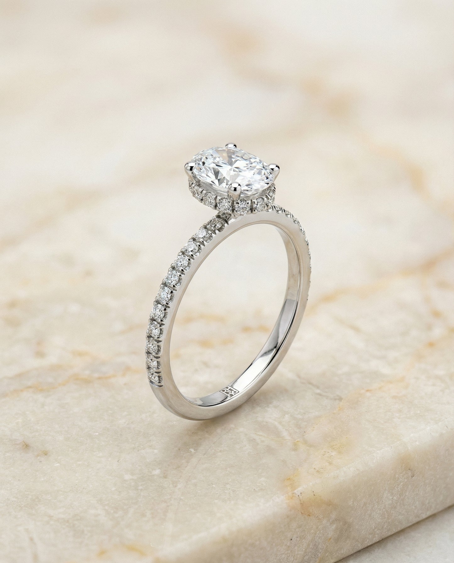 The Elliott — Secret Halo French Pavé Solitaire Oval in 14K White Gold