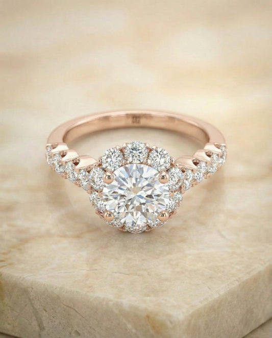 Musetta Select Shared Prong Halo Linear Band in 14K White Gold – view 1