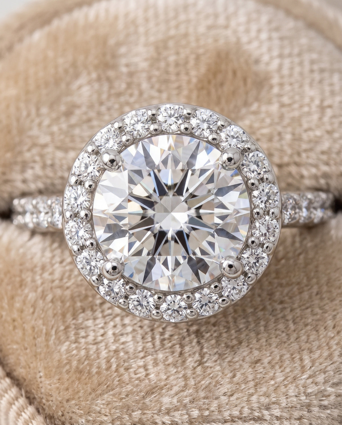 The Alicia Shared Prong Halo Round Engagement Ring Setting in Platinum