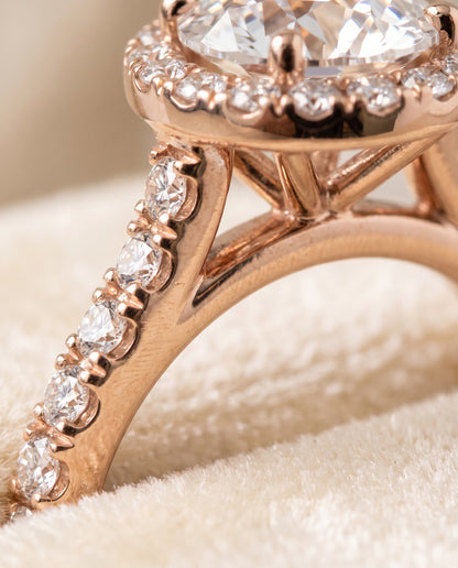 The Allegra Shared Prong Pavé Halo Round Engagement Ring Setting in 14K Rose Gold