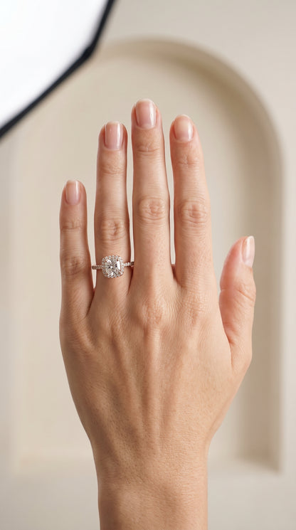 The Bianca Classic Prong Halo Cushion Cut Engagement Ring Setting in 14K Rose Gold
