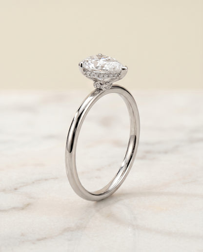 The Dolly Double Hidden Halo Solitaire Princess Cut Engagement Ring Setting in Platinum