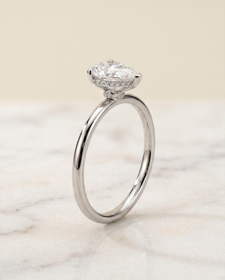 The Dolly Double Hidden Halo Solitaire Princess Cut Engagement Ring Setting in Platinum
