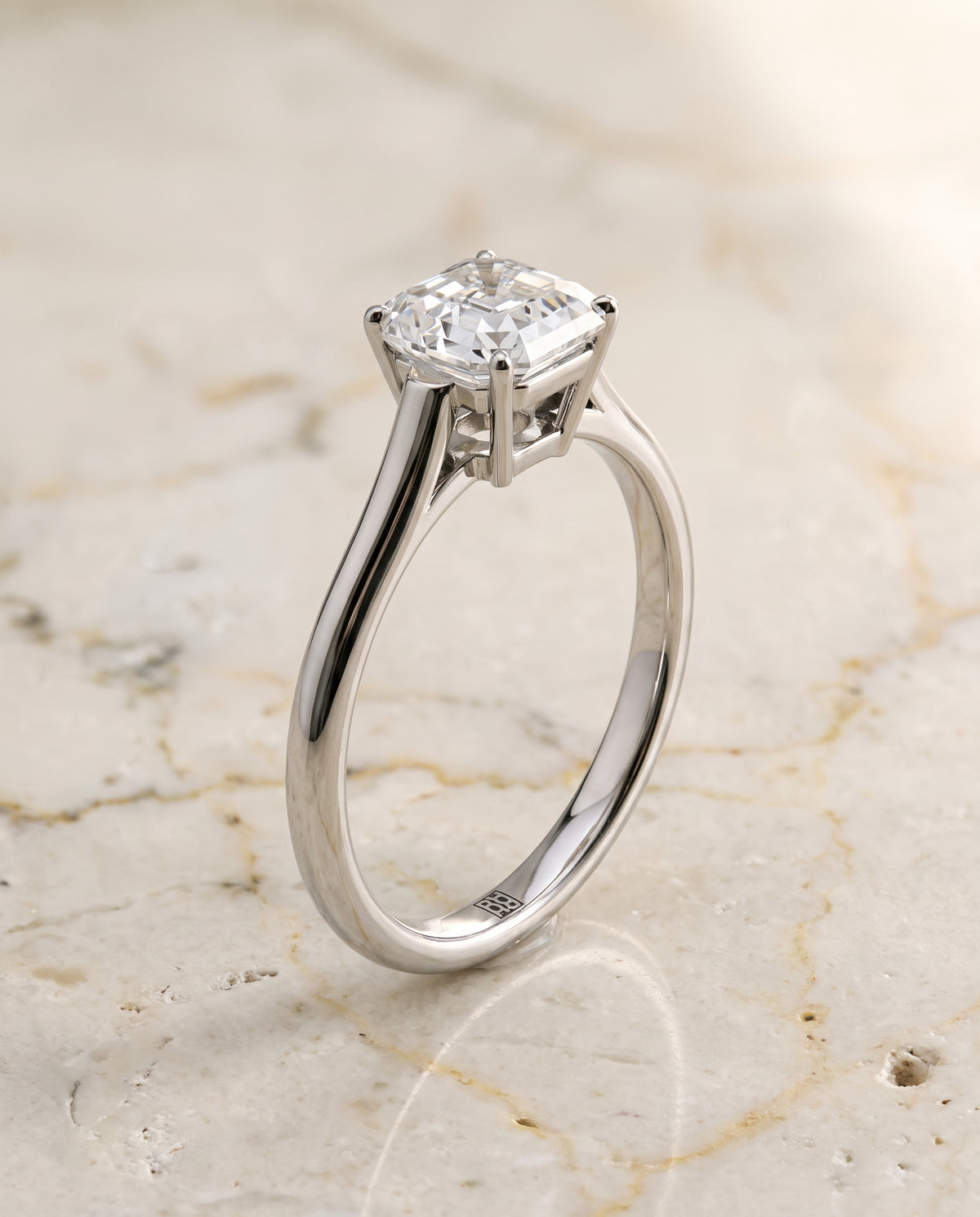 The Ellie Cathedral Comfort Fit Solitaire Asscher Cut Engagement Ring Setting in Platinum