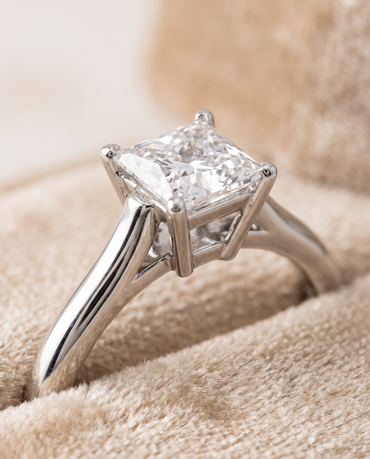 The Ellie Cathedral Comfort Fit Solitaire Princess Cut Engagement Ring Setting in Platinum