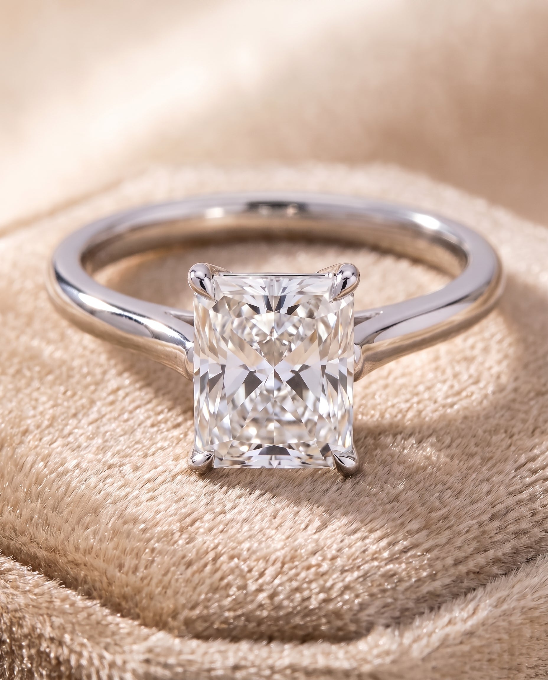 The Ellie Cathedral Comfort Fit Solitaire Radiant Cut Engagement Ring Setting in Platinum
