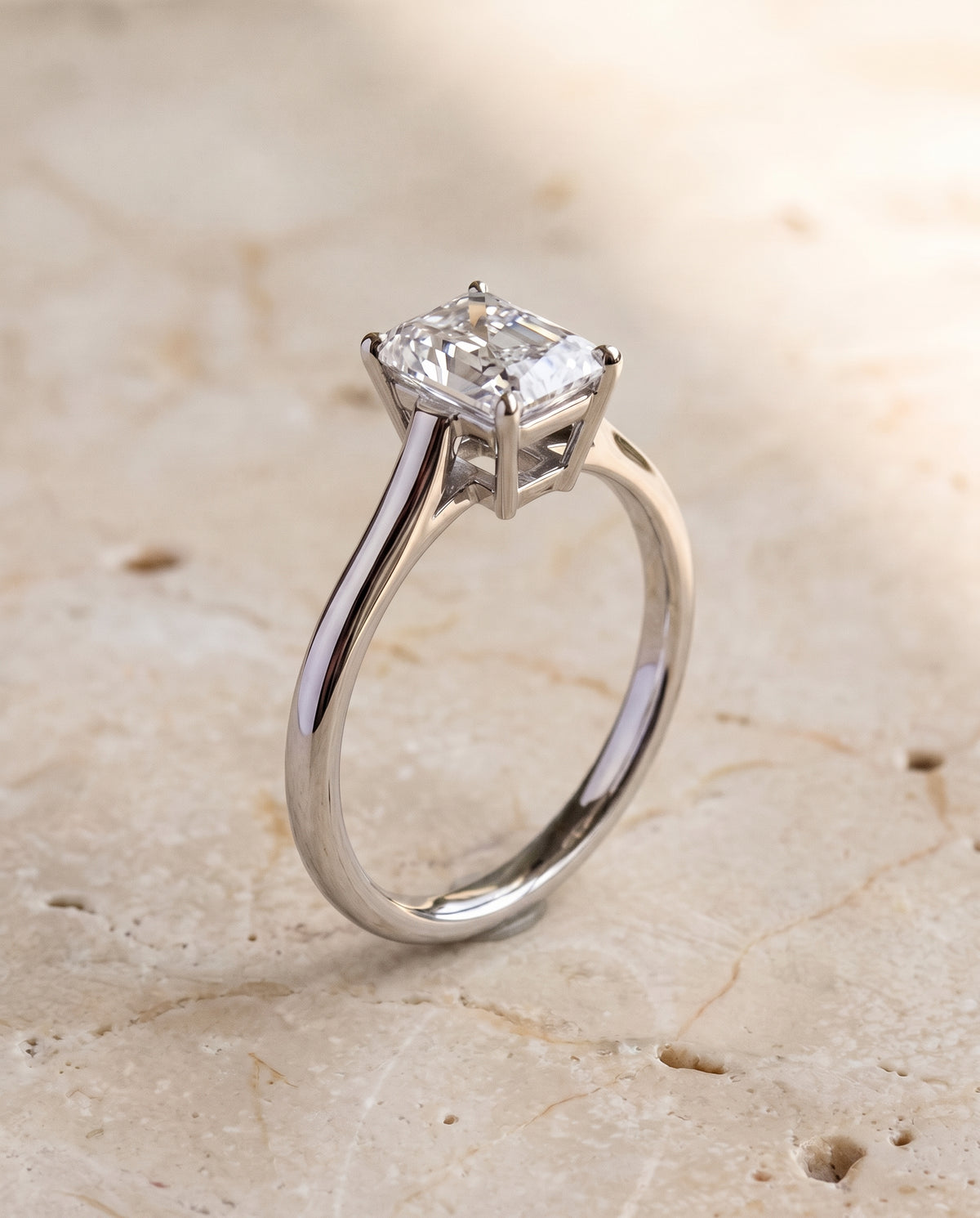 The Ellie Cathedral Comfort Fit Solitaire Radiant Cut Engagement Ring Setting in Platinum