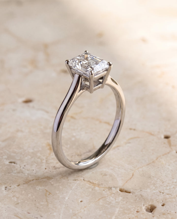 The Ellie Cathedral Comfort Fit Solitaire Radiant Cut Engagement Ring Setting in Platinum