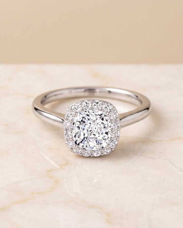 The Etta Classic Shared Prong Halo Cushion Cut Engagement Ring Setting in Platinum