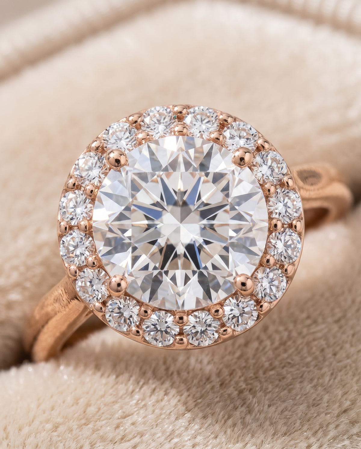 The Etta Classic Shared Prong Halo Round Engagement Ring Setting in 14K Rose Gold