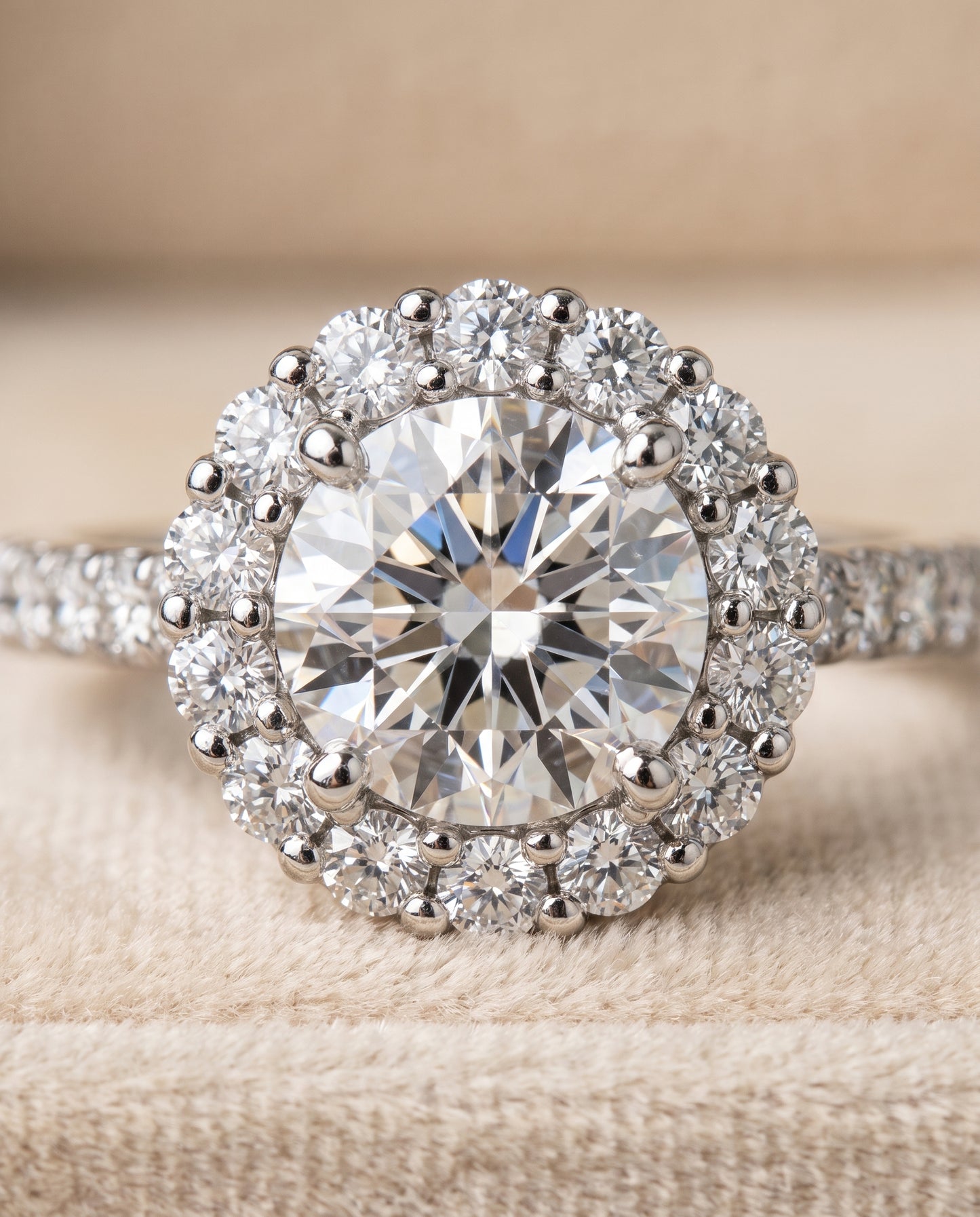 The Fiona Shared Prong Halo Round Engagement Ring Setting in Platinum