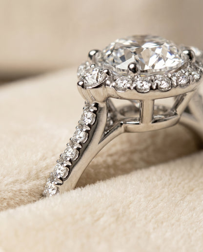 The Ivy Three Stone Delicate Halo Round Engagement Ring Setting in Platinum