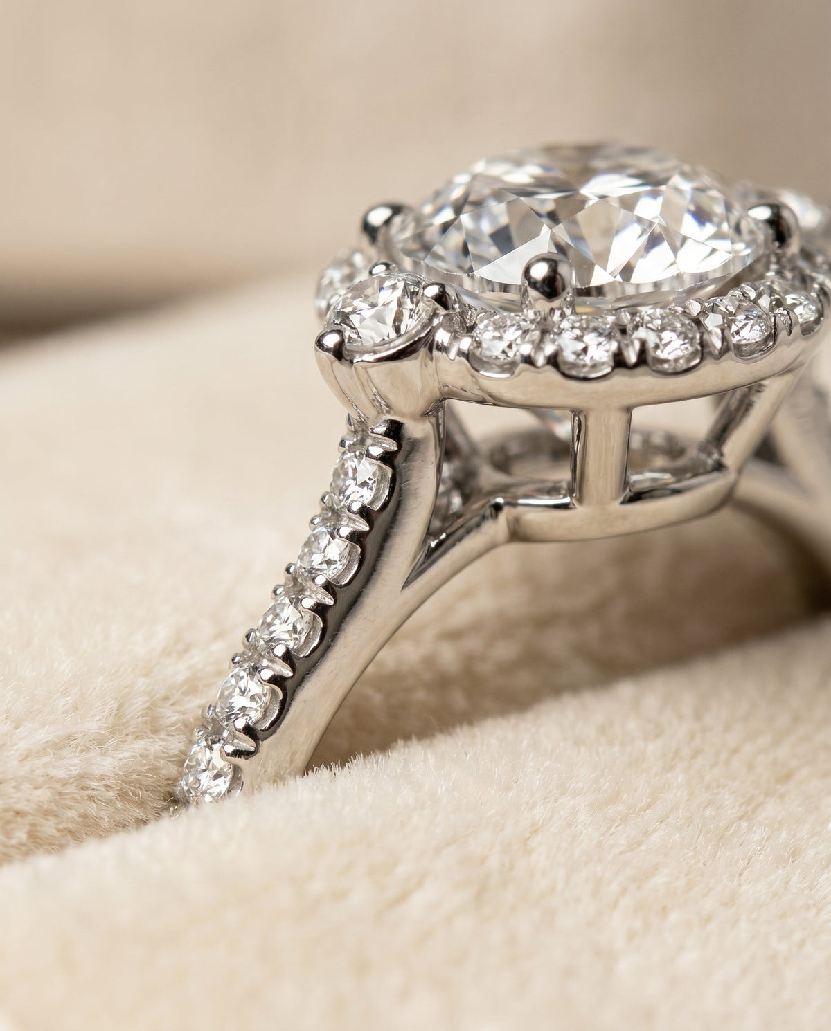 Ivy Select Halo Round Lab Diamond Engagement Ring in Platinum, detail view | RockHer