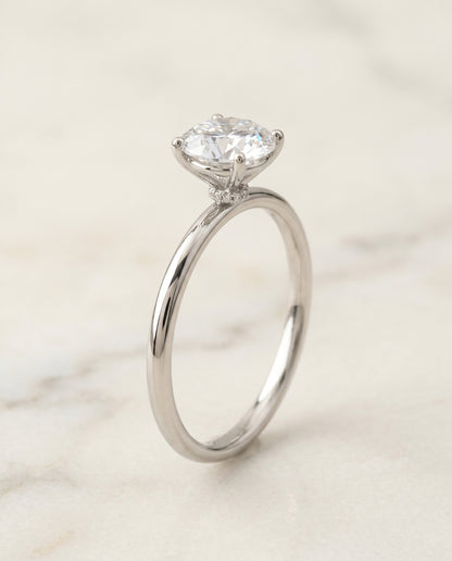 The Joni Hidden Halo Solitaire Round Engagement Ring Setting in Platinum