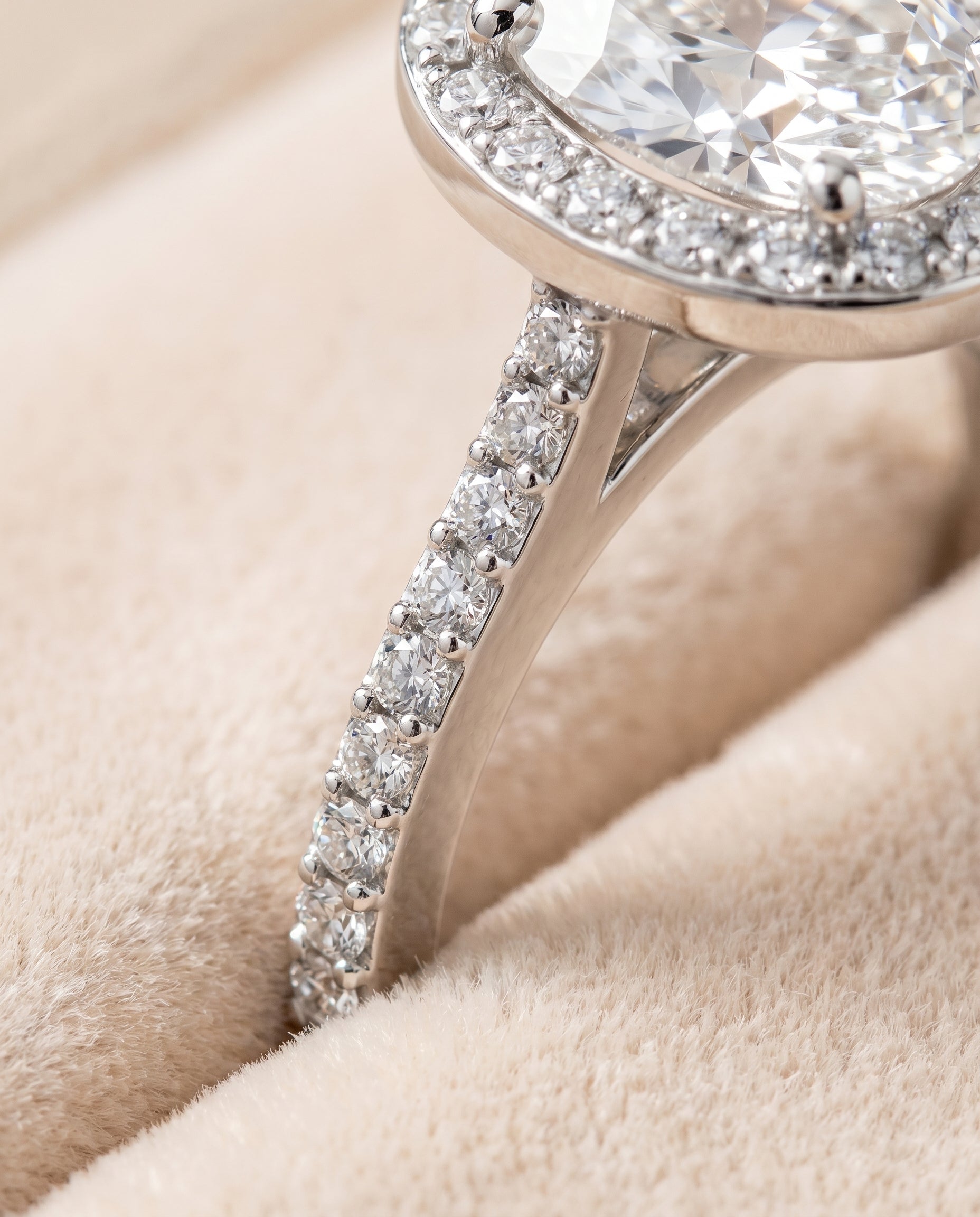 Taylor Select Pavé Halo Oval Lab Diamond Engagement Ring in Platinum, detail view | RockHer